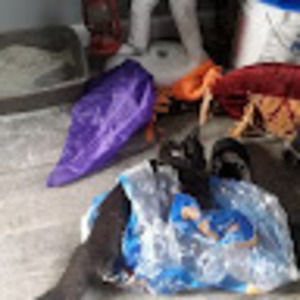 Meet your Posher, Greg